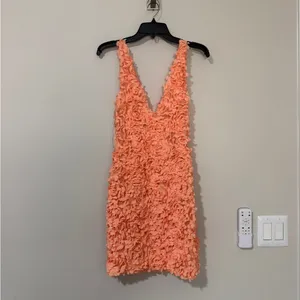 House of CB 'Faena' Sorbet Plunge Appliqué Mini Dress Size XS thumbnail 4