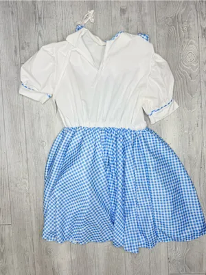 Rubies Dorthy wizard of Oz checked Halloween costume dress cosplay dress up OS thumbnail 10