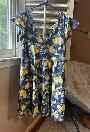 Abercrombie Linen Shirt Dress thumbnail 1