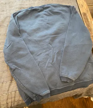 Authentic Pigment Sweatshirt thumbnail 2