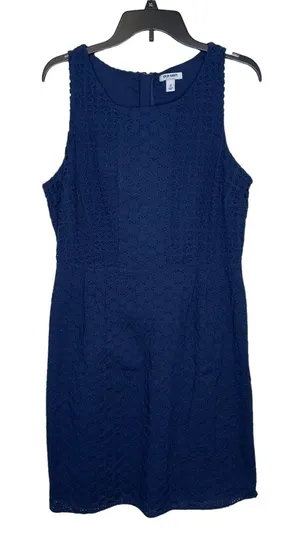 Old Navy Women's‎ Dress Short Fully Lined Sleeveless Scoop Neck Cotton Blue 12 thumbnail 1