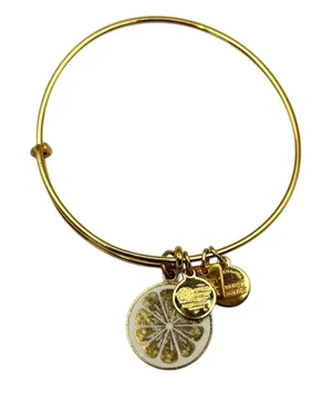 Alex And Ani Lemon Fruit Gold Expandable Charm Bracelet thumbnail 1