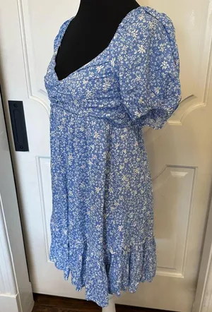 Altar’d State Empire Waist V Nevk Floral Blue Mini Dress NWOT thumbnail 4