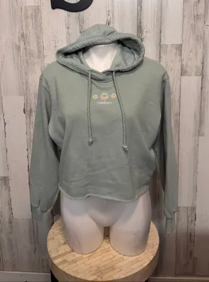 Hollister Embroidered Daisy Raw Hem Cropped Hoodie Womens Small Sage Green thumbnail 1