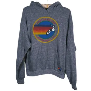 Aviator Nation Venice Graphic Hoodie Size Small Gray Laguna Beach 90s Streetwear thumbnail 2