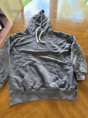 Aerie Offline Hoodie thumbnail 1