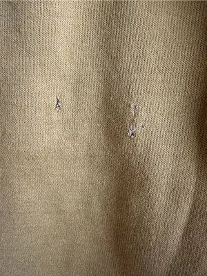 Aviator Nation xs joggers 329. thumbnail 5