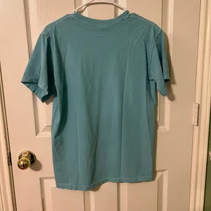 Comfort Colors Southern Paws NOLA Teal Shirt thumbnail 3