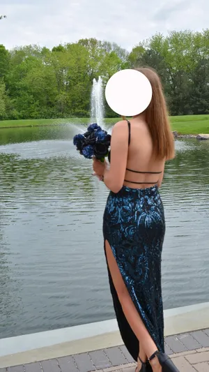 Windsor Prom Dress thumbnail 2