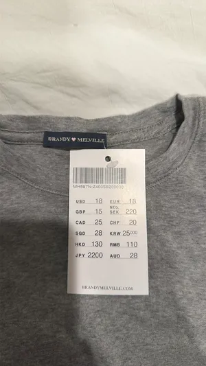 Brandy Melville Grey Top thumbnail 3
