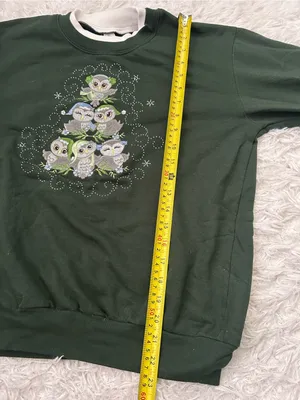 Morning Sun green crewneck sweatshirt winter embroidered owl shirt woman’s M thumbnail 7
