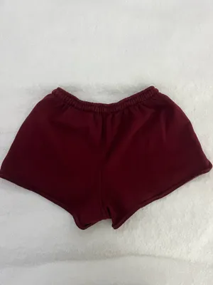 Brandy Melville Shorts thumbnail 3