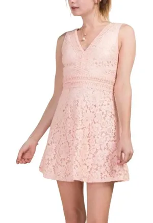 Francesca’s Mini Dress Floral Lace‎ Sleeveless Size Medium V Neck A-line thumbnail 1