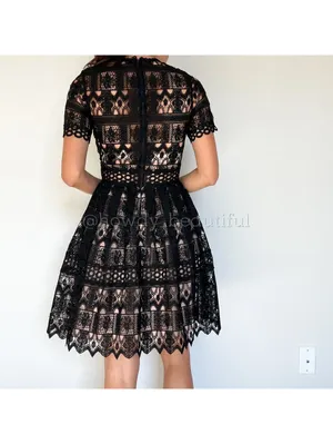 Alexis Black Crochet Guipure Lula Dress Size XS thumbnail 5