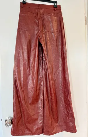 Faux leather pants  thumbnail 3