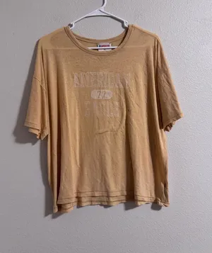 NWT American Eagle Outfitters Tan Graphic Short Sleeve Tee thumbnail 1