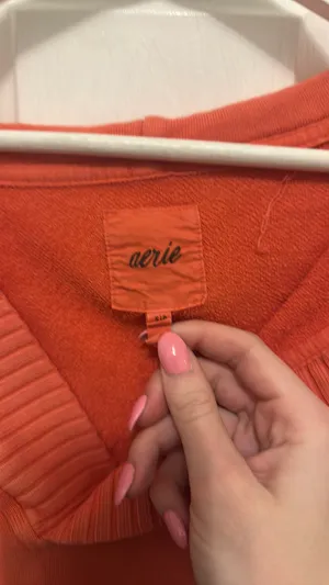 Aerie Hoodie thumbnail 3