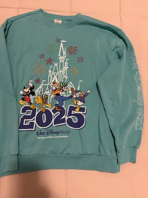 2025 Disney Graphic Sweatshirt thumbnail 3