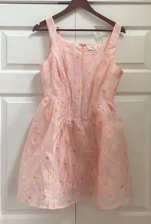 Storia Mini Dress Women L Pink Floral Corset Gold Coquette Balletcore Glinda thumbnail 1