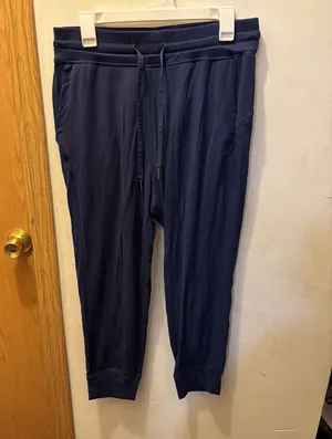 (10) lululemon joggers thumbnail 1