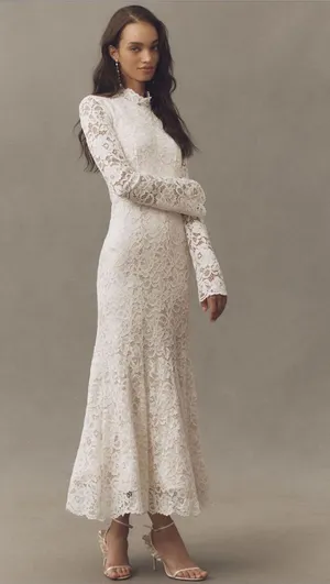 BHLDN Long Sleeve Mock-Neck Stretch Lace Maxi Dress thumbnail 1