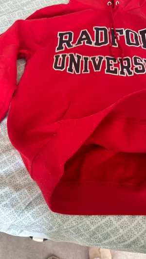 Champion Radford  Hoodie Women thumbnail 2