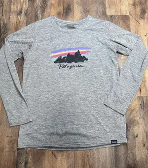Patagonia Women’s Heather Gray Long-Sleeve Tee with Sunset Mountain Graphic thumbnail 1