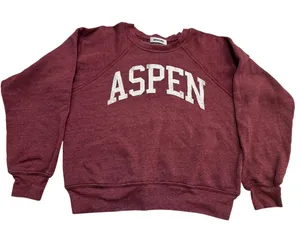 DAYDREAMER Aspen Raglan Sweatshirt Size Small New without Tag MSRP $128 SOO thumbnail 1