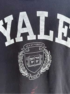 Hennes & Mauritz Yale Off the Shoulder Tee Distressed College Shirt Grunge thumbnail 2