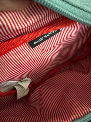 Herschel Supply Co Belt Bag Fanny Pack Green Blue thumbnail 4
