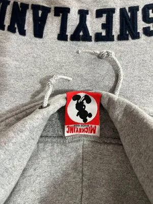 Disney land Hoddie thumbnail 4