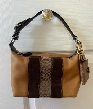 Y2K Coach Hampton Stripe Mini Hobo thumbnail 1