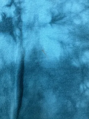 Def Leppard Tie Dye Mens Blue Short Sleeve Band Tee Size Medium thumbnail 3