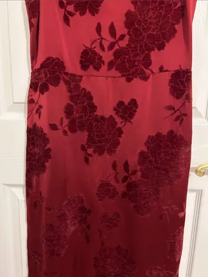 Reformation Frankie Scarlet Slip Maxi Dress Floral Velvet Burnout New Size 10 thumbnail 6