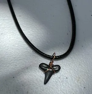Shark Tooth Necklace thumbnail 1