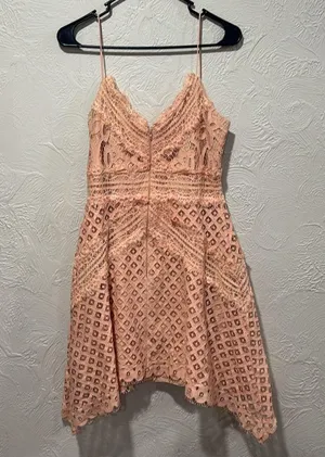 Keepsake the Label Bridges Lace Handkerchief Mini Dress Blush Size Large thumbnail 6