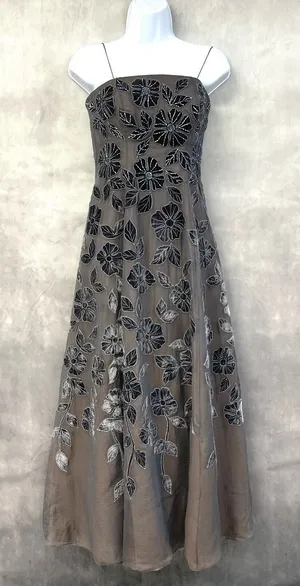 Akira Whimsigoth Evening Gown Size XSmall Fairycore Coquette Burnout Mesh Dainty thumbnail 1