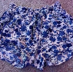 American Eagle shorts thumbnail 2