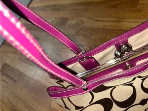 Coach Vintage Fuschia & Brown Signature Stripe Framed Carryall F19190 thumbnail 7