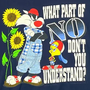 Vintage 90s 1996 Looney Tunes Graphic Tee T Shirt Tweetie Bird Sylvester Large thumbnail 7