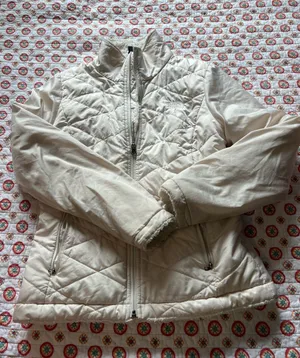 The North Face Ivory Winter Jacket size small thumbnail 1