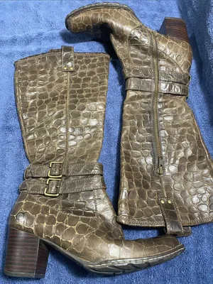 Born Brown Croc-Embossed Mid-Calf Buckle Boots thumbnail 1