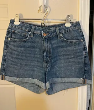 American Eagle Denim Shorts thumbnail 1