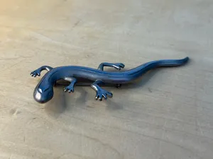 Vintage Lizard Brooch Pin Silver Tone Whimsigoth Southwestern Boho thumbnail 2
