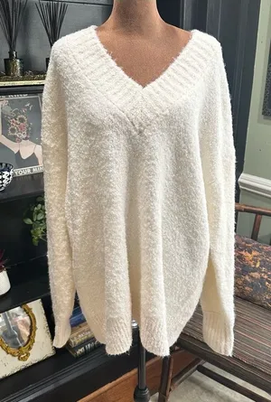 Aerie Teddy V-Neck Bouclé Sweater – Size Large – Cozy Texture & Relaxed Fit thumbnail 1