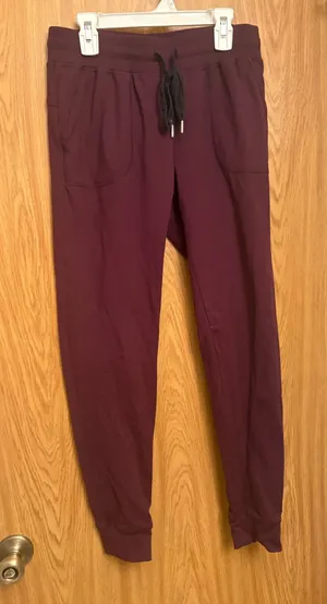 Zyia Active Joggers in Maroon thumbnail 1