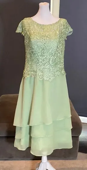 Women’s Green Chiffon & Lace Mid Length Dress with a Zip Up Back Size L NWOT thumbnail 1