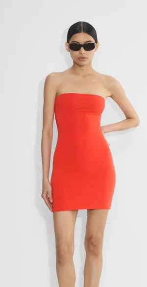 Aritzia Dress thumbnail 1