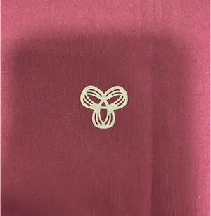 Maroon Aritzia Golden Boxer Shorts thumbnail 4