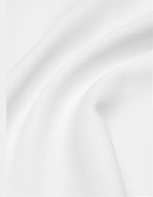 Babaton Aritzia Bond Dress thumbnail 3